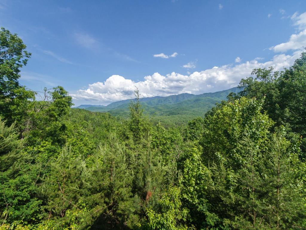 Dreamscapes Villa Gatlinburg Luaran gambar